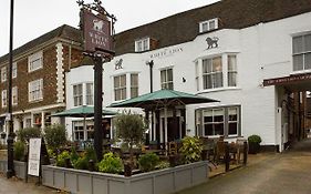 The White Lion
